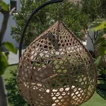 Acl'l Luxury * أويا